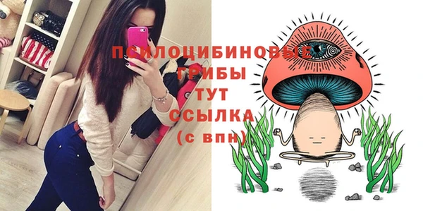 ешки Нязепетровск
