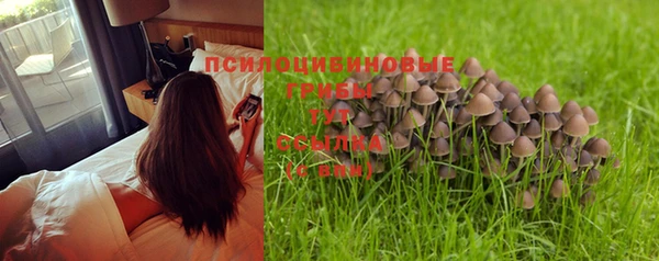 ешки Нязепетровск