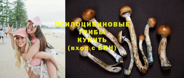 амф Новокубанск