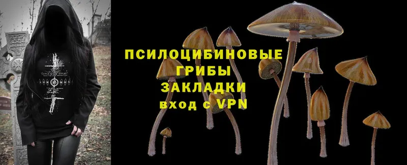 Галлюциногенные грибы GOLDEN TEACHER  Красноармейск 