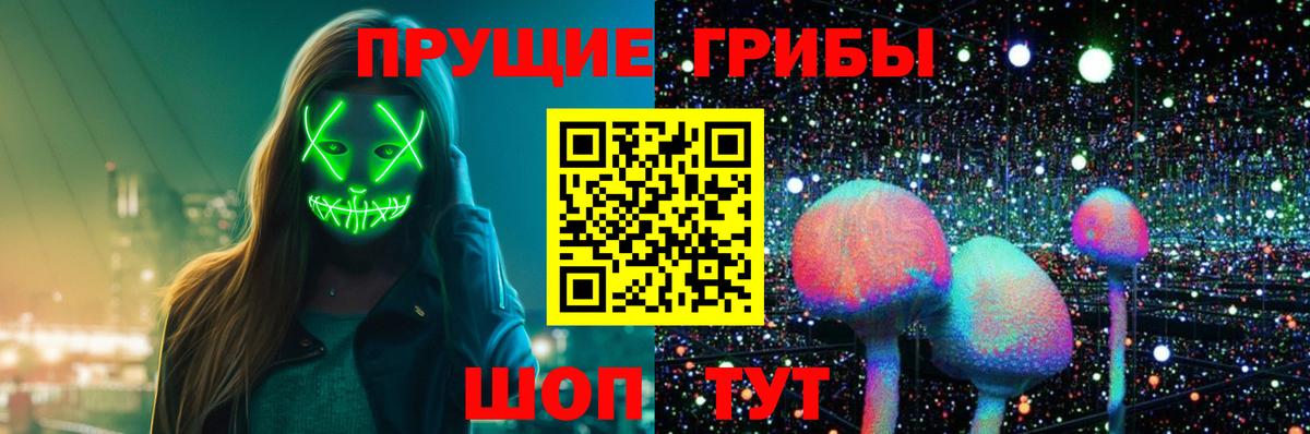 Галлюциногенные грибы Psilocybe Красноармейск